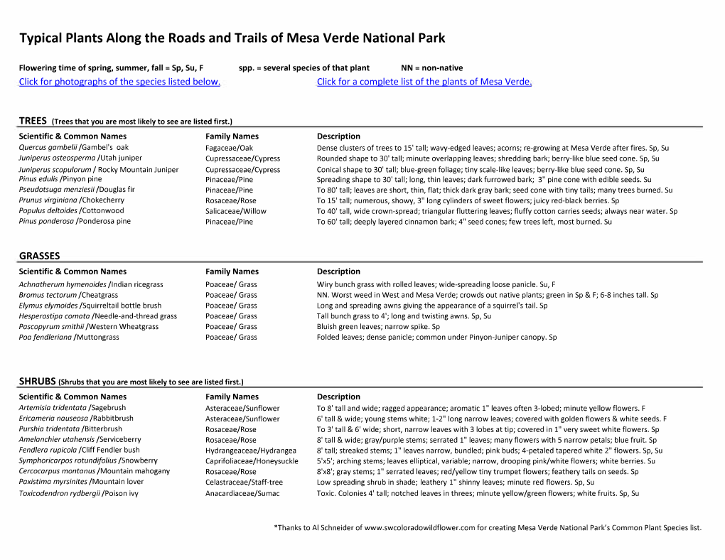 Typical Plants Along the Roads and Trails of Mesa Verde National Park