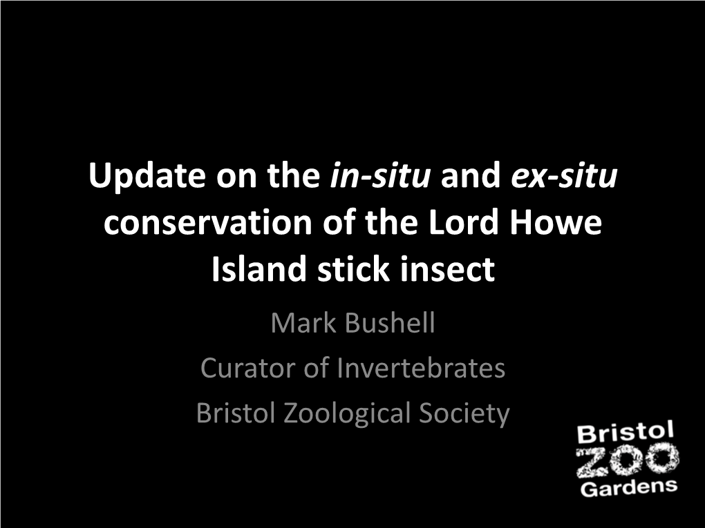 Update on the In-Situ and Ex-Situ Conservation of the Lord Howe Island Stick Insect Mark Bushell Curator of Invertebrates Bristol Zoological Society Introduction