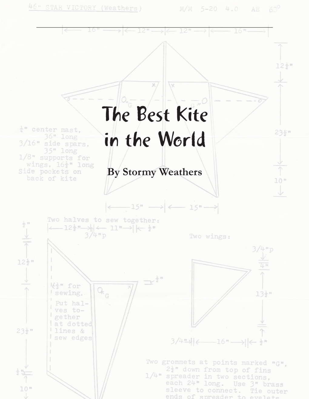 The Best Kite in the World