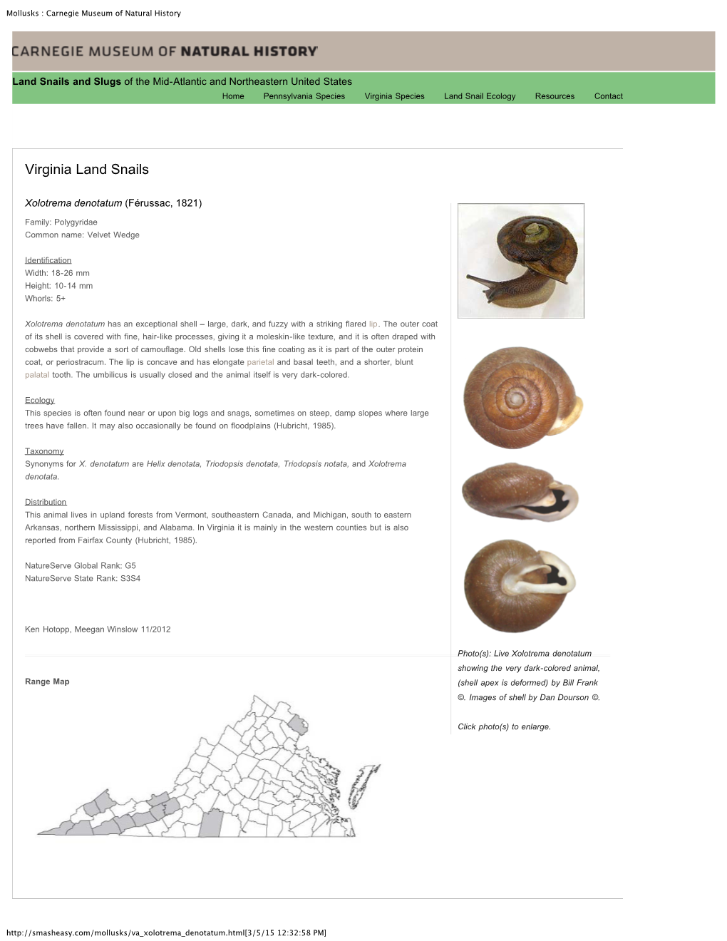 Mollusks : Carnegie Museum of Natural History