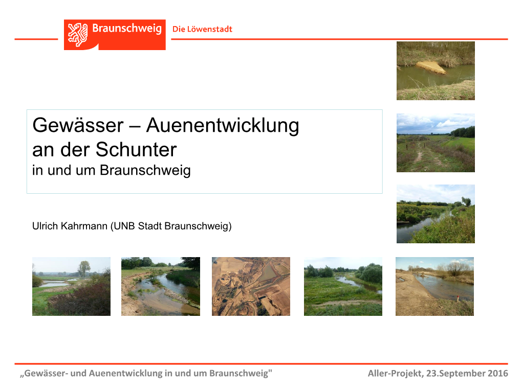 Gewässer – Auenentwicklung an Der Schunter in Und Um Braunschweig