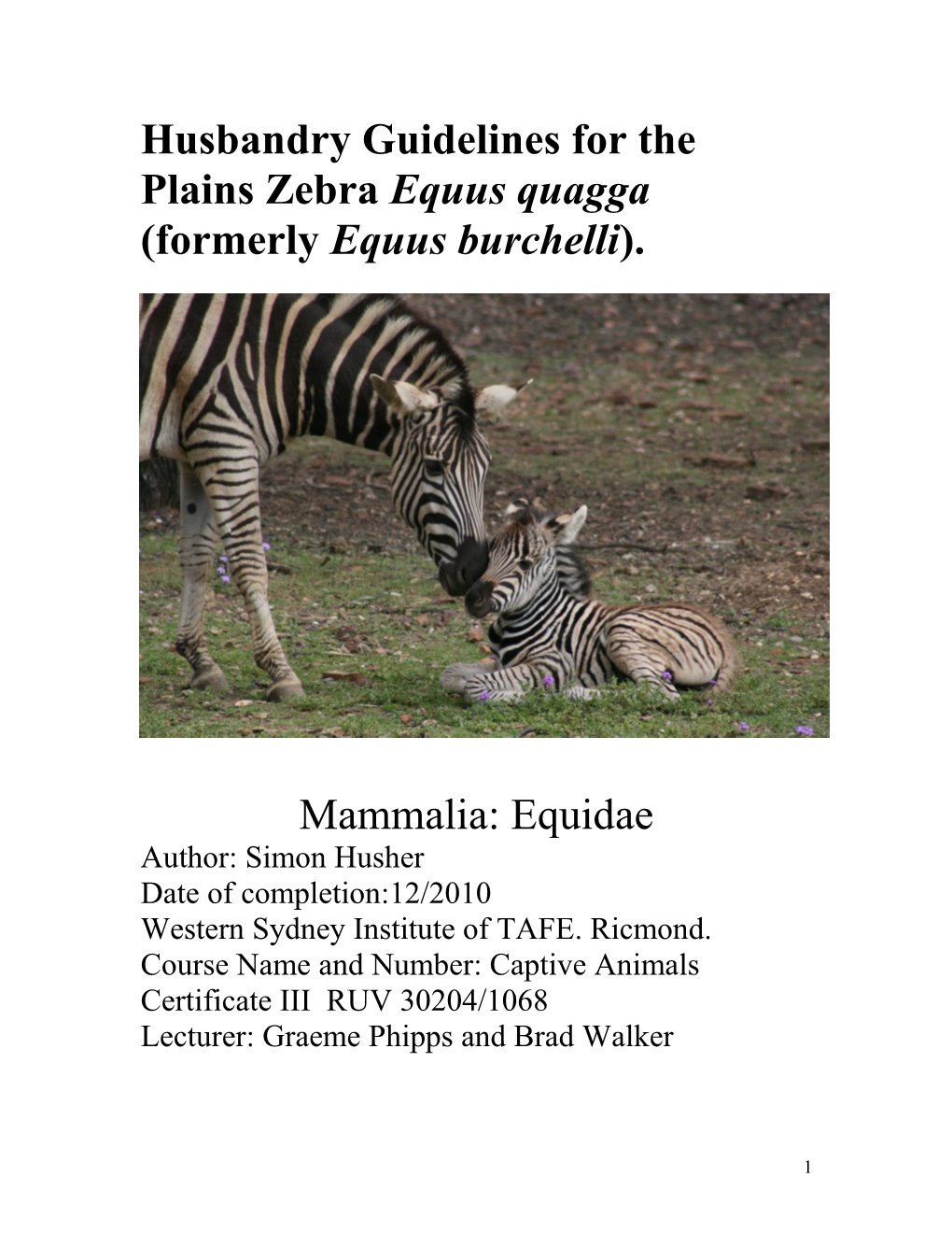 Husbandry Guidelines for the Plains Zebra Equus Quagga (Formerly Equus Burchelli)