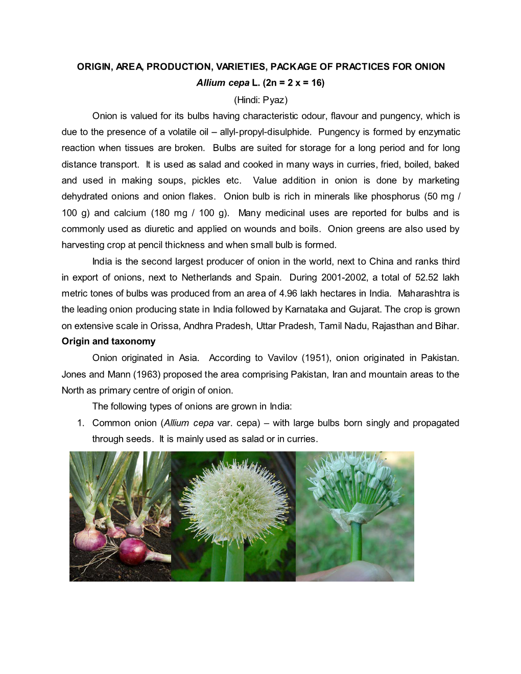 ORIGIN, AREA, PRODUCTION, VARIETIES, PACKAGE of PRACTICES for ONION Allium Cepa L
