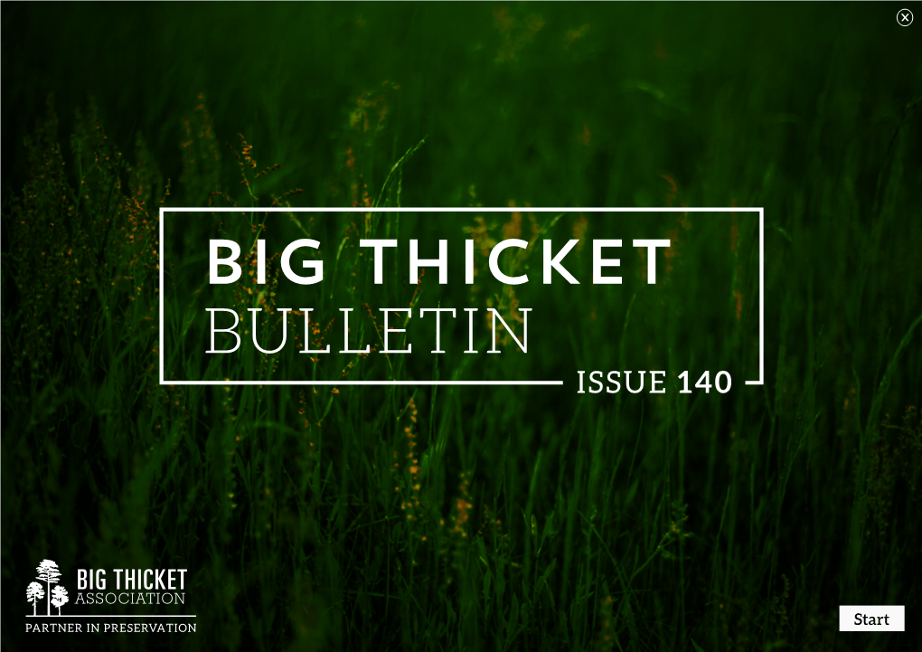 Big Thicket Bulletin, Issue