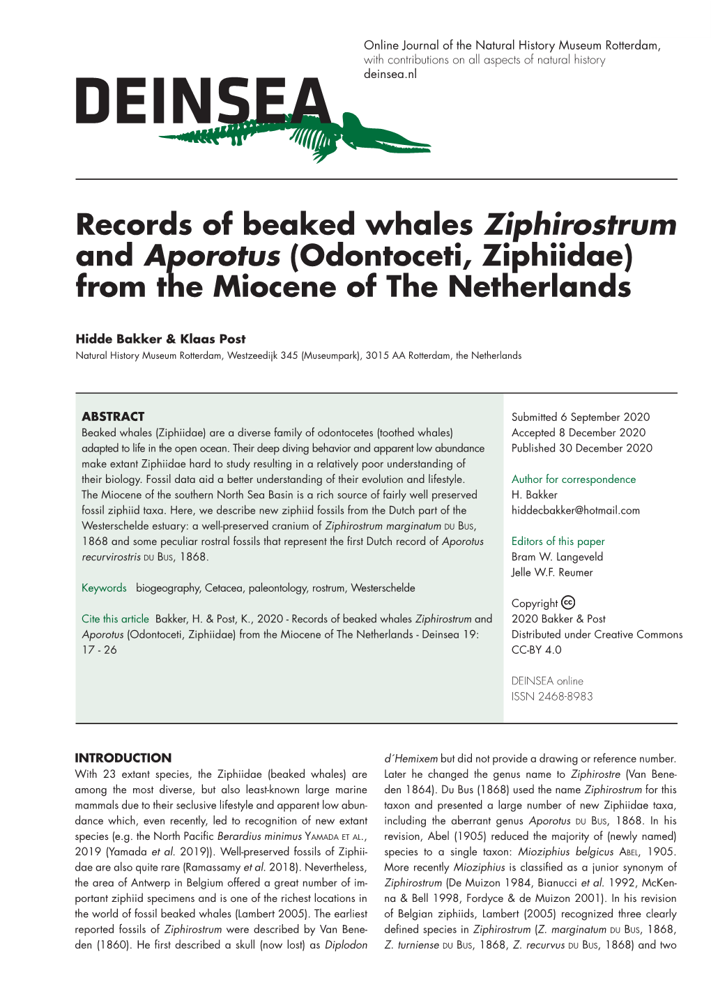 Records of Beaked Whales Ziphirostrum and Aporotus (Odontoceti, Ziphiidae) from the Miocene of the Netherlands