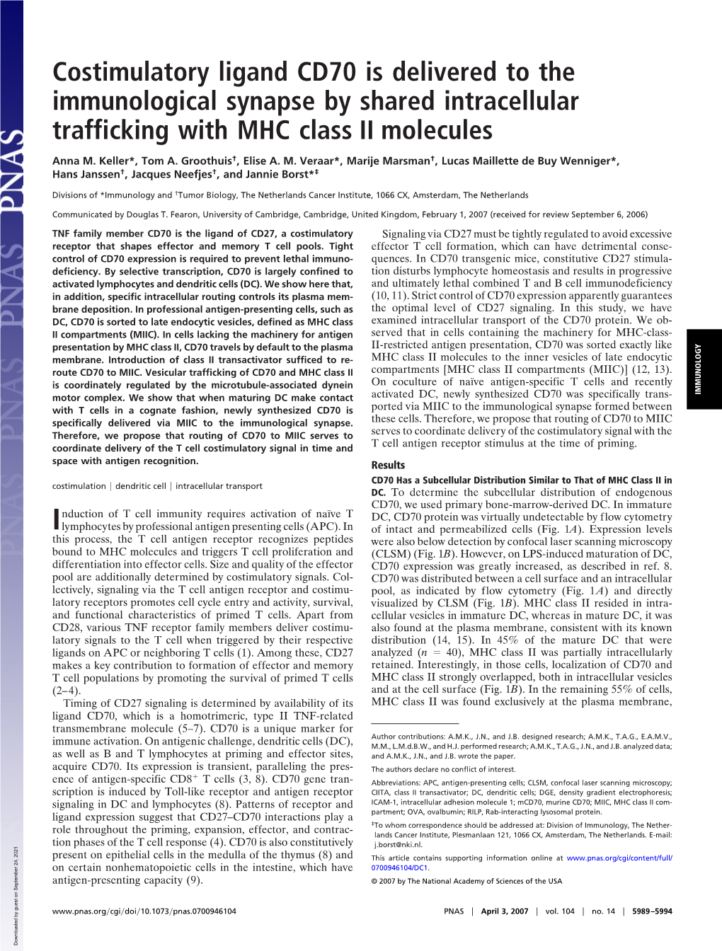Costimulatory Ligand CD70 Is Delivered to the Immunological Synapse by Shared Intracellular Trafficking with MHC Class II Molecules