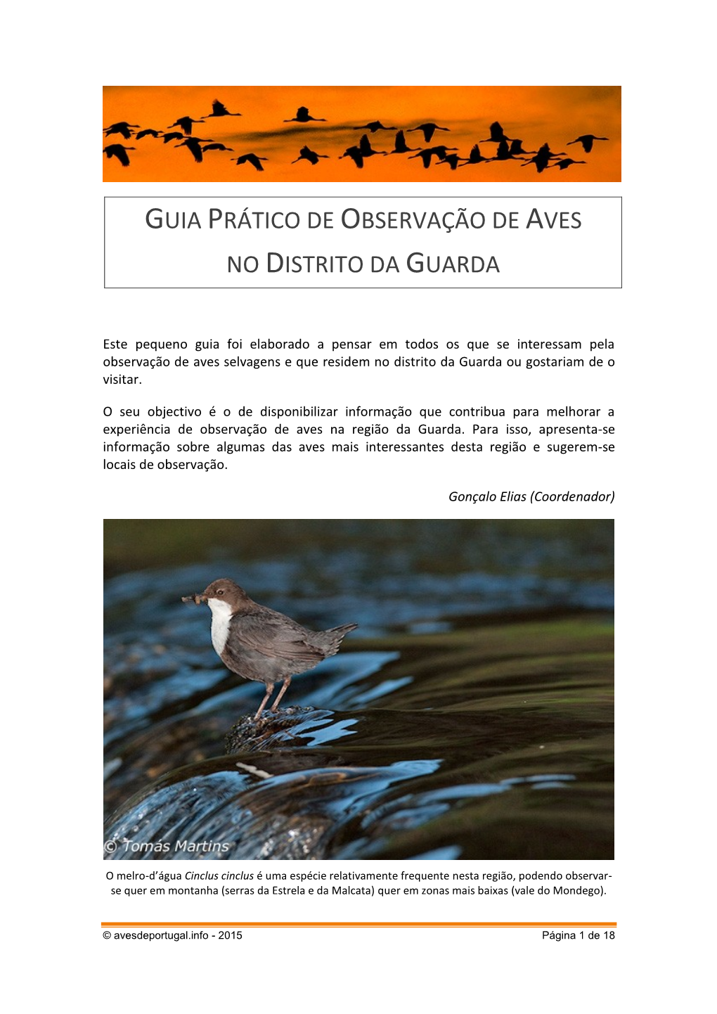 Guia Prático De Observação De Aves No Distrito Da Guarda