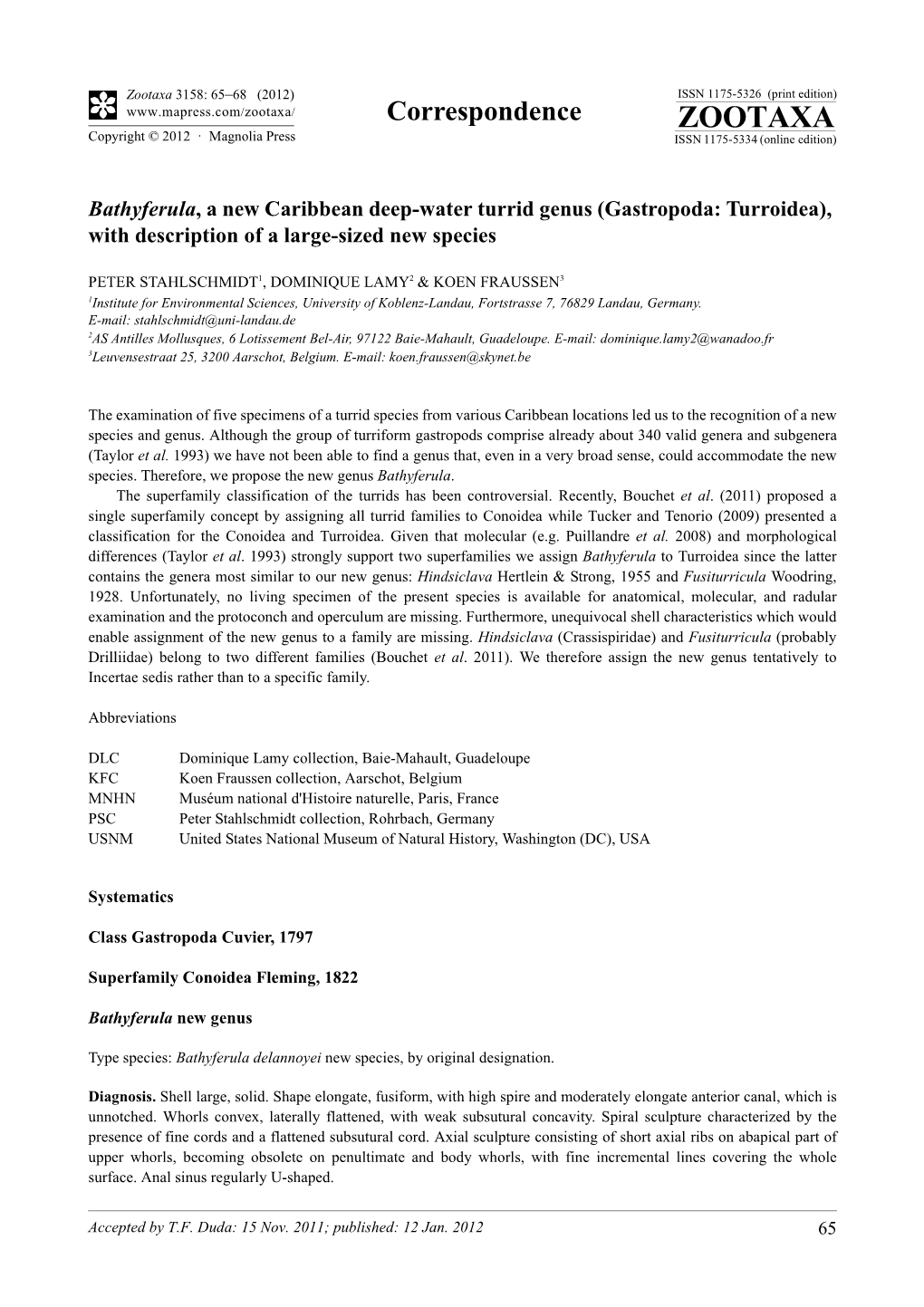 Bathyferula, a New Caribbean Deep-Water Turrid Genus (Gastropoda: Turroidea), with Description of a Large-Sized New Species