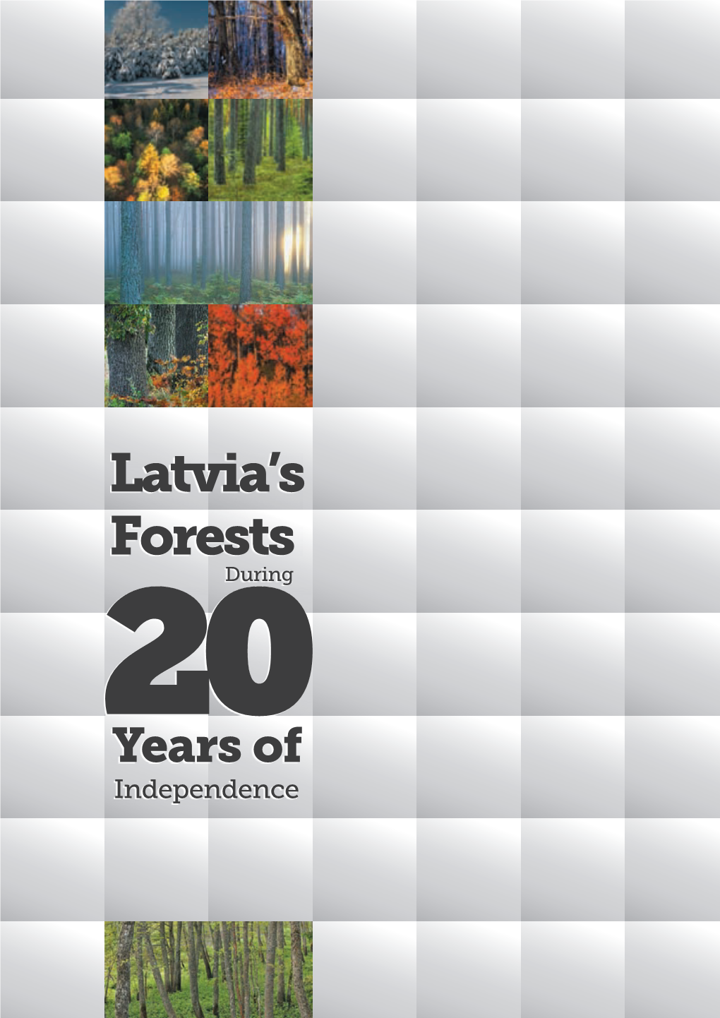 Latvia's Forests