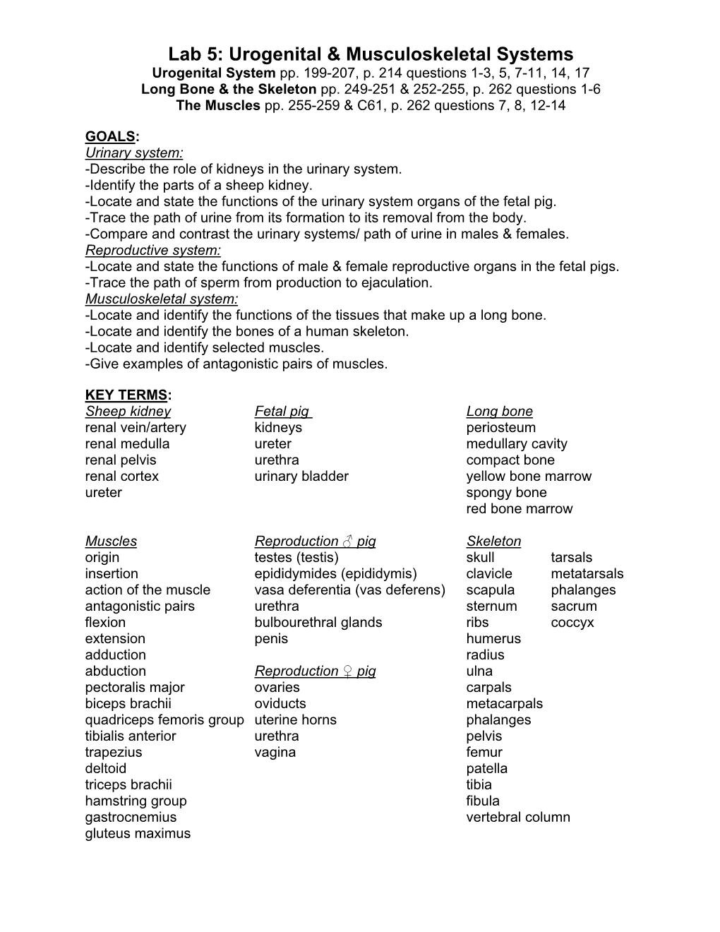 Lab 5: Urogenital & Musculoskeletal Systems