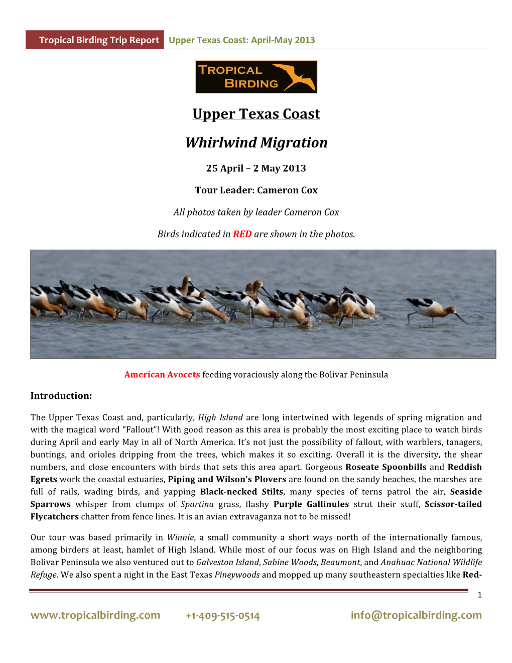 Upper Texas Coast Whirlwind Migration