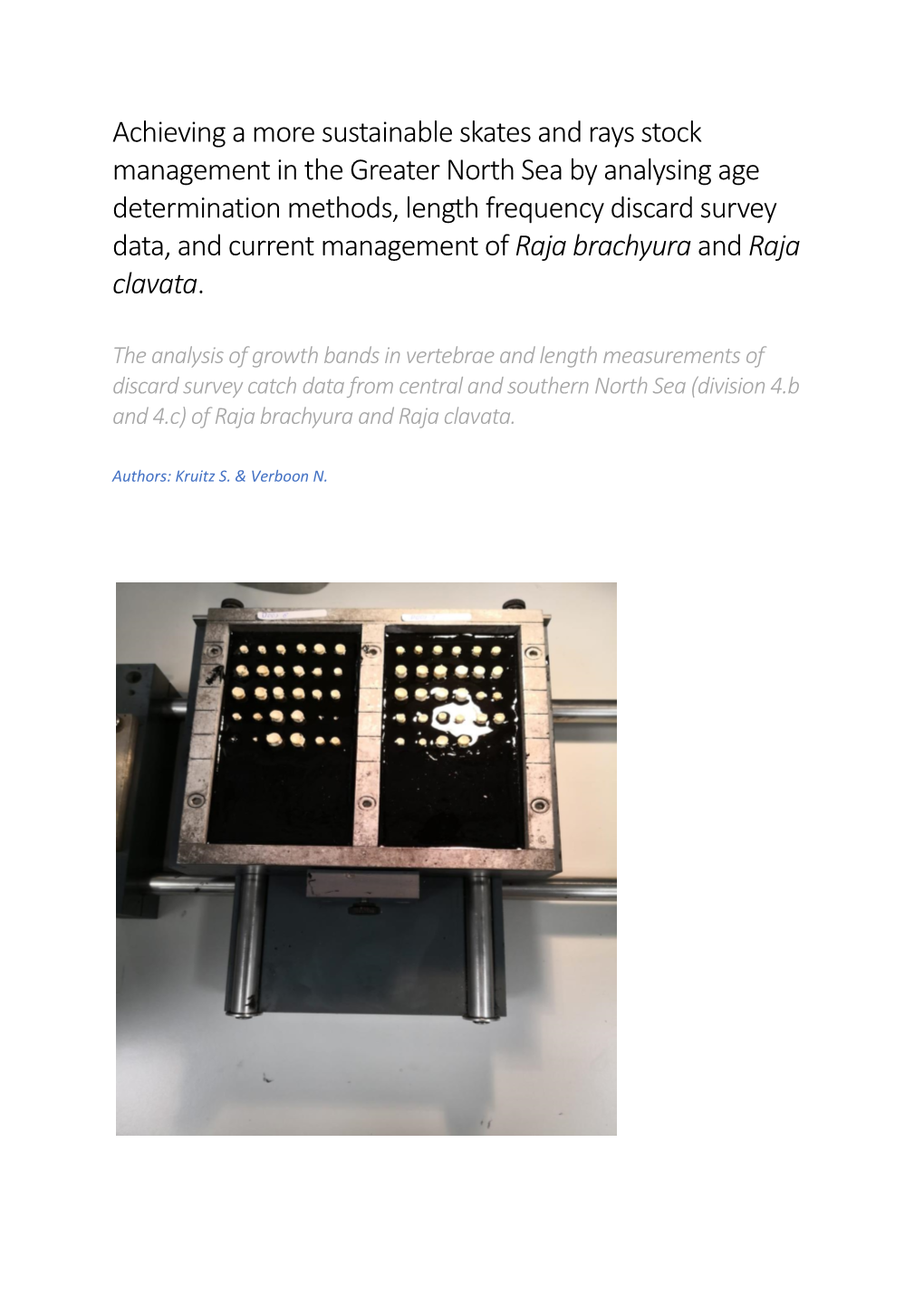 Achieving a More Sustainable Skates and Rays Stock Management in the Greater North Sea by Analysing Age Determination Methods, L