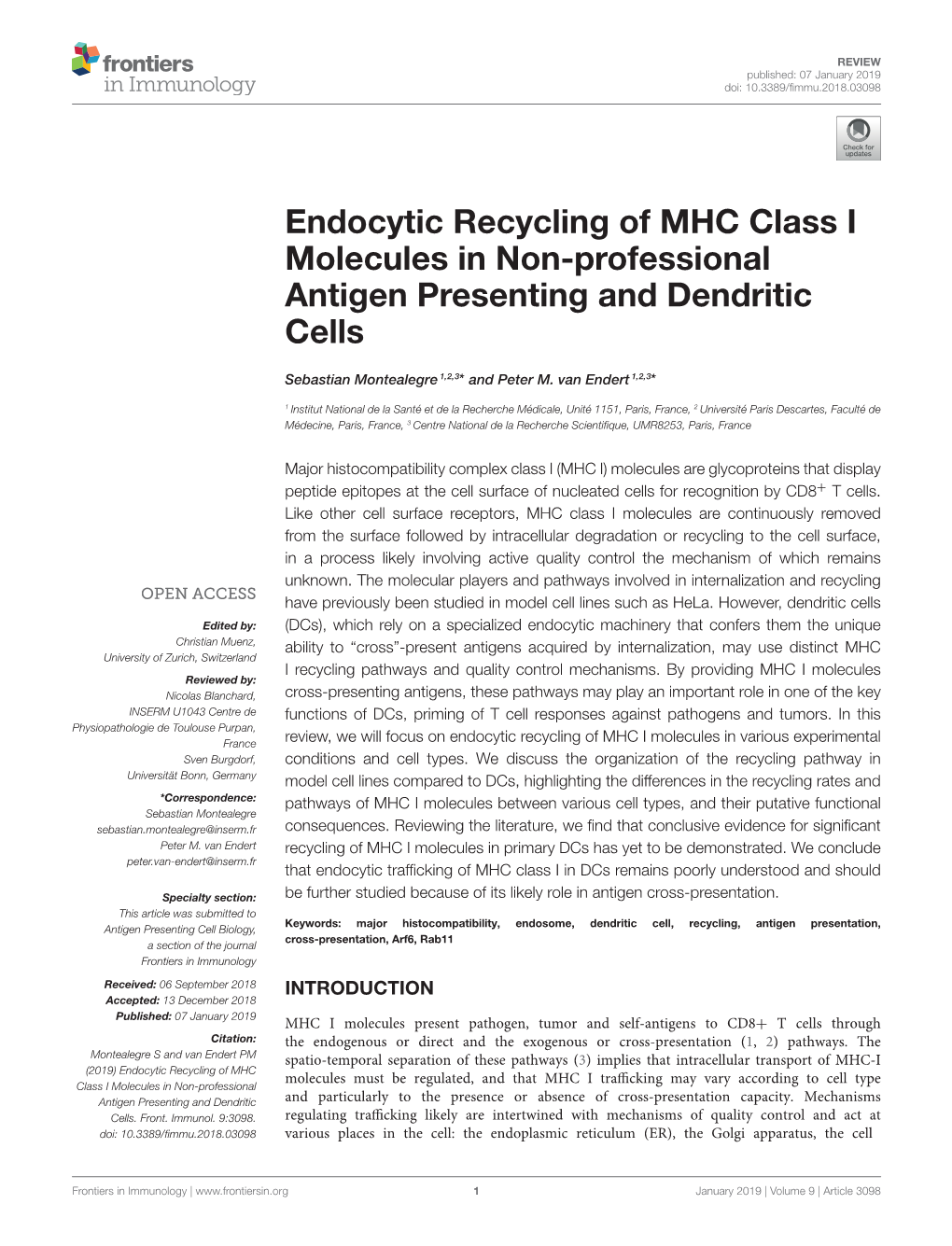Endocytic Recycling of MHC Class I Molecules in Non-Professional Antigen Presenting and Dendritic Cells