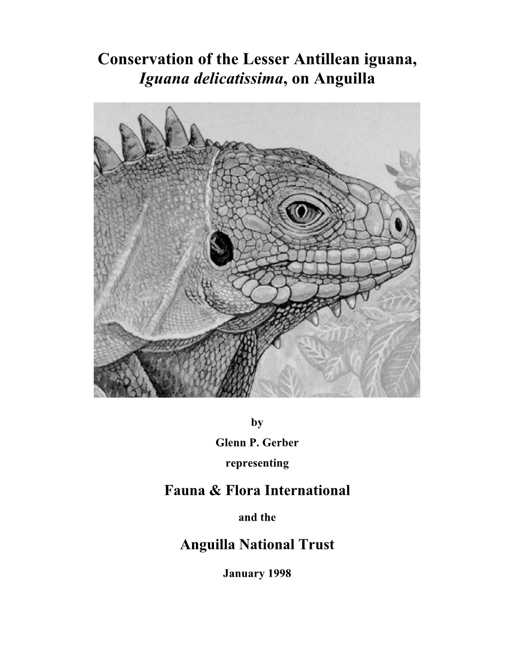 Conservation of the Lesser Antillean Iguana, Iguana Delicatissima, on Anguilla