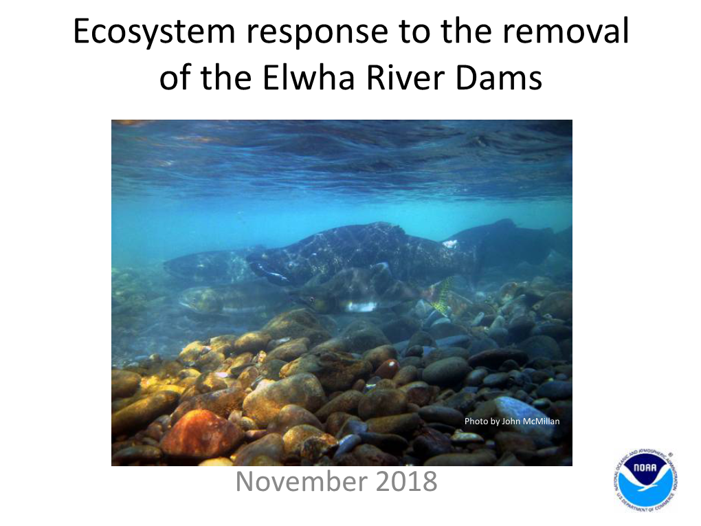 Dam Removal & the Elwha River