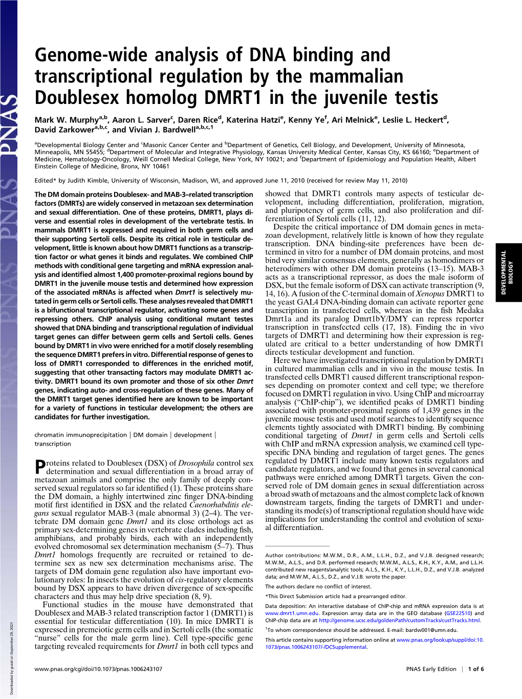 Genome-Wide Analysis of DNA Binding and Transcriptional Regulation by the Mammalian Doublesex Homolog DMRT1 in the Juvenile Testis