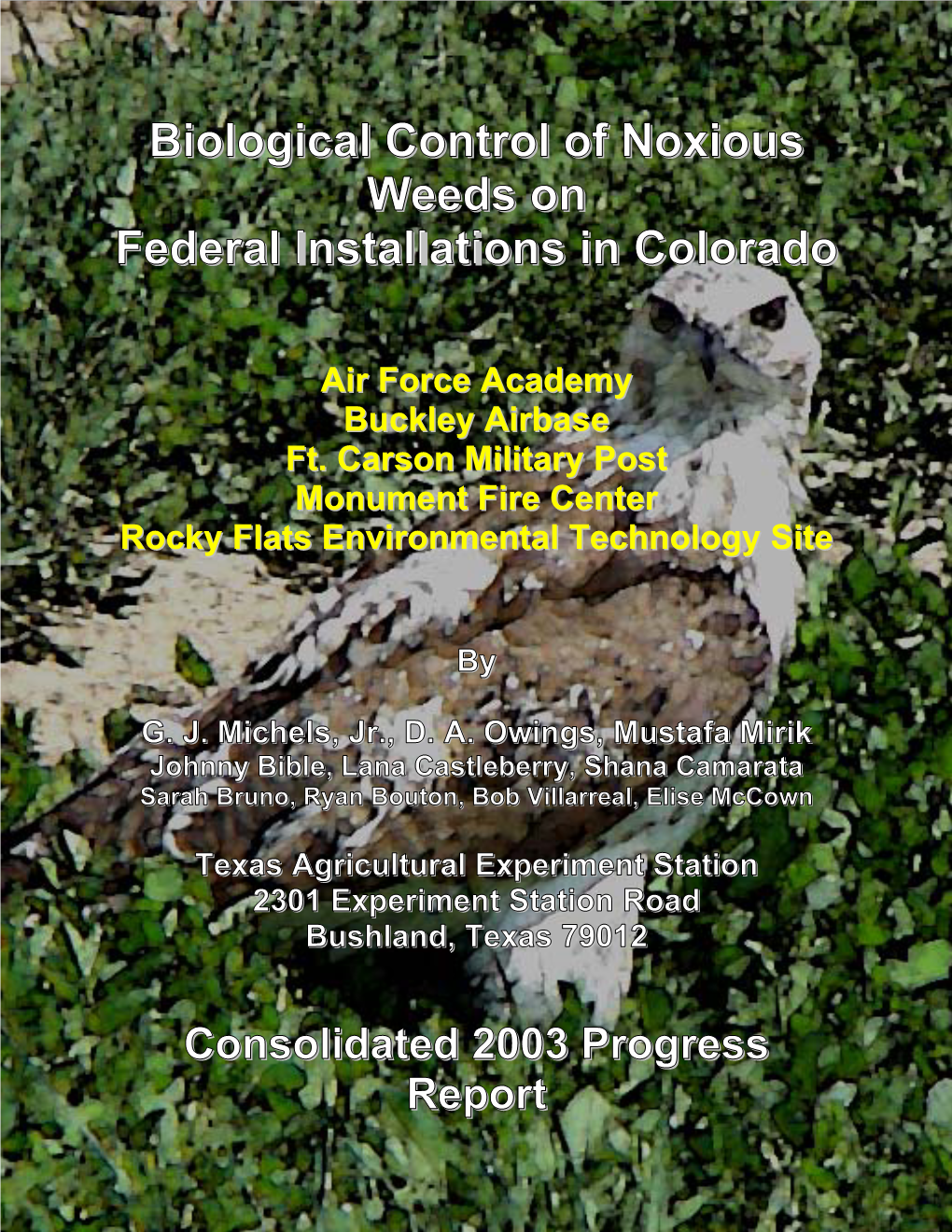 2003 Colorado Consolidated Report