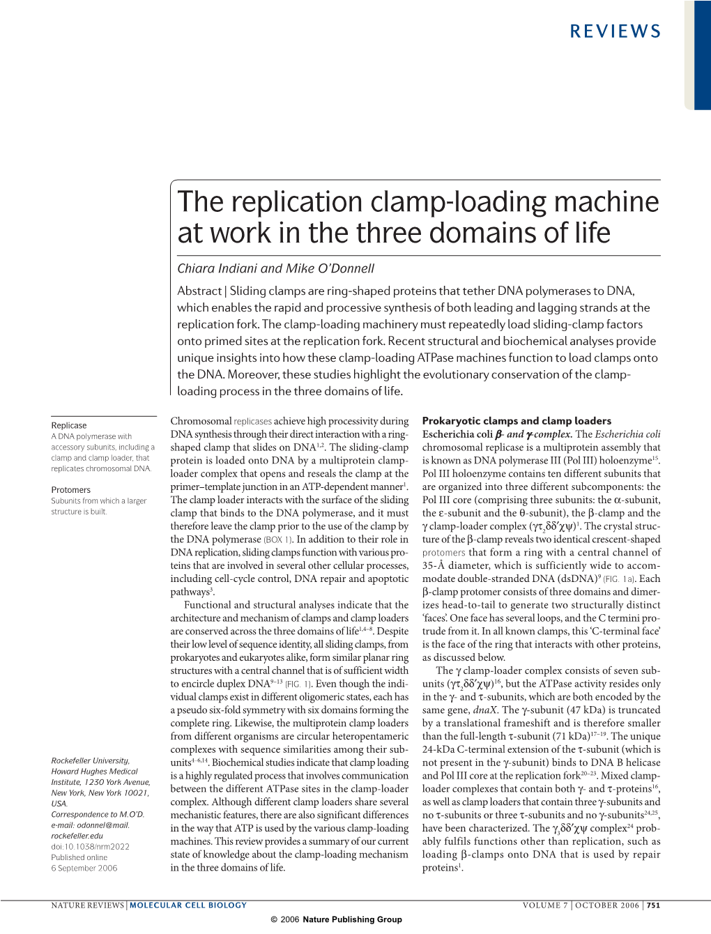 The Replication Clamp-Loading Machine at Work in the Three Domains of Life