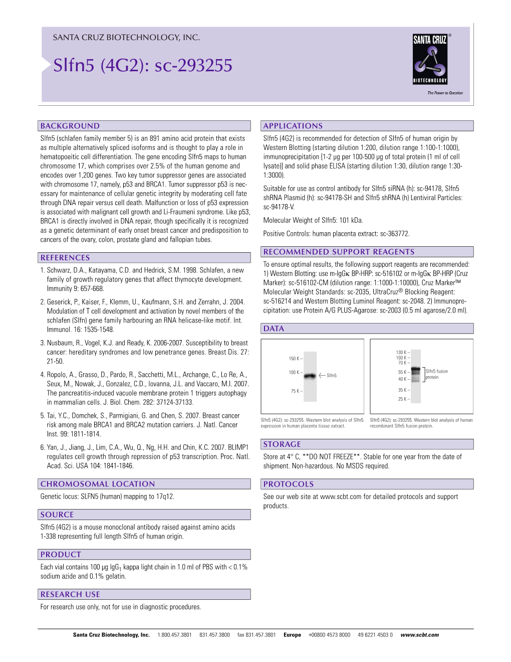 Datasheet Blank Template