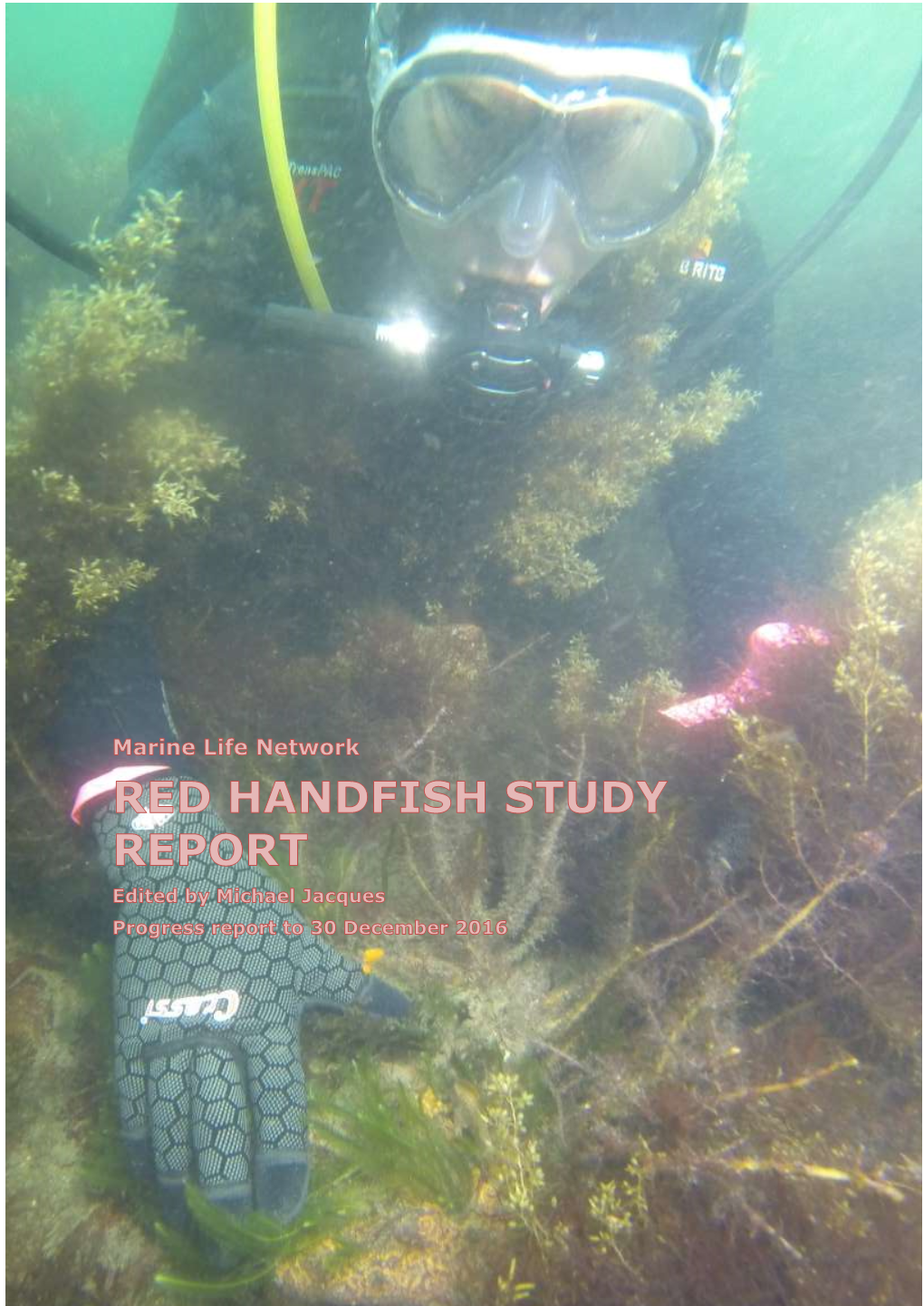 Handfish-Study-Paper-5.2.17.Pdf