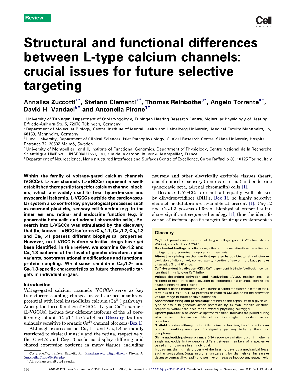 Structural and Functional Differences Between L-Type Calcium Channels: Crucial Issues for Future Selective Targeting