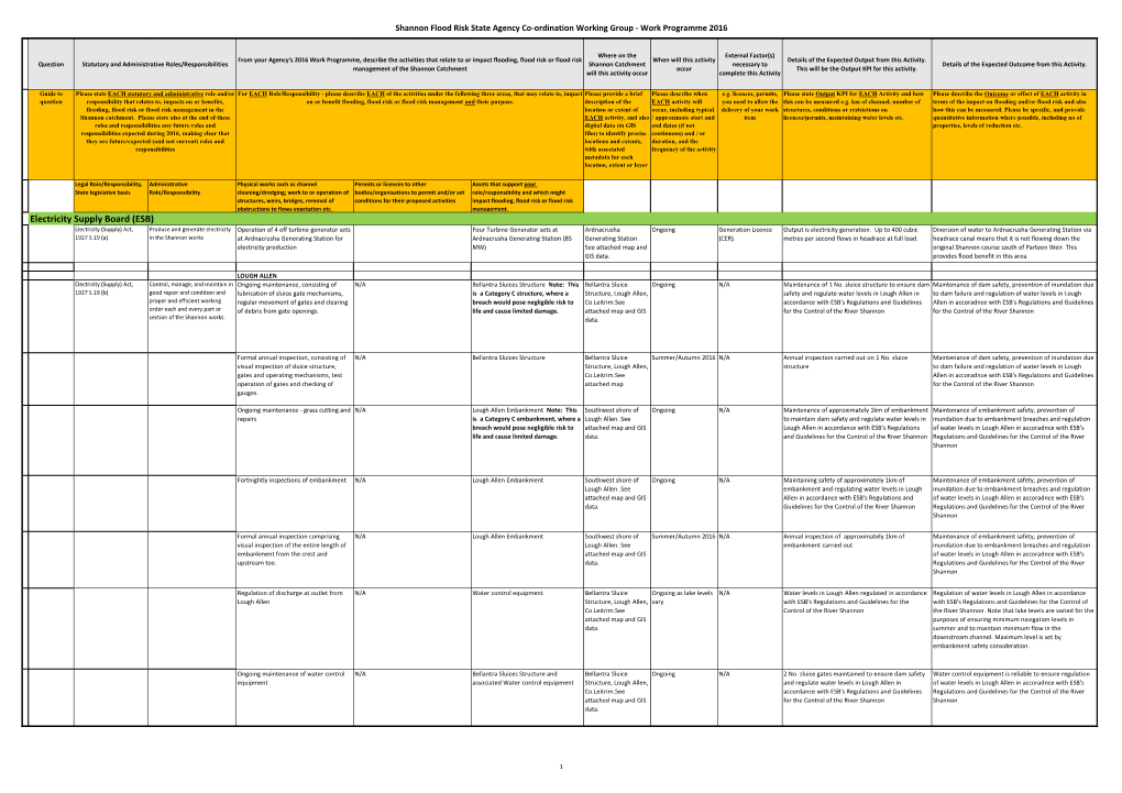 Electricity Supply Board (ESB)