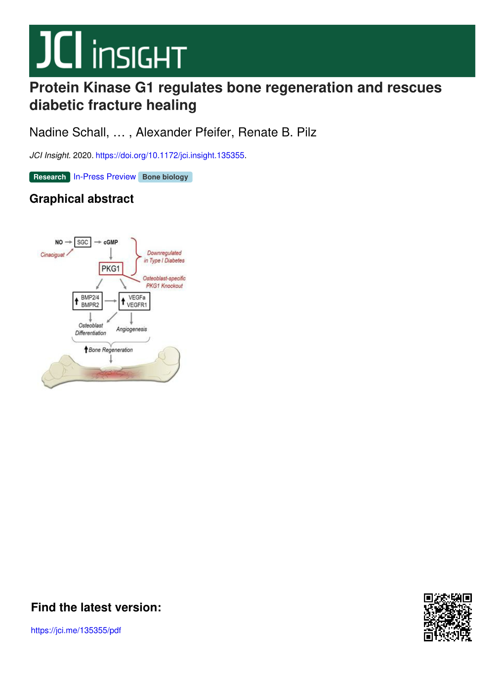 Protein Kinase G1 Regulates Bone Regeneration and Rescues Diabetic Fracture Healing