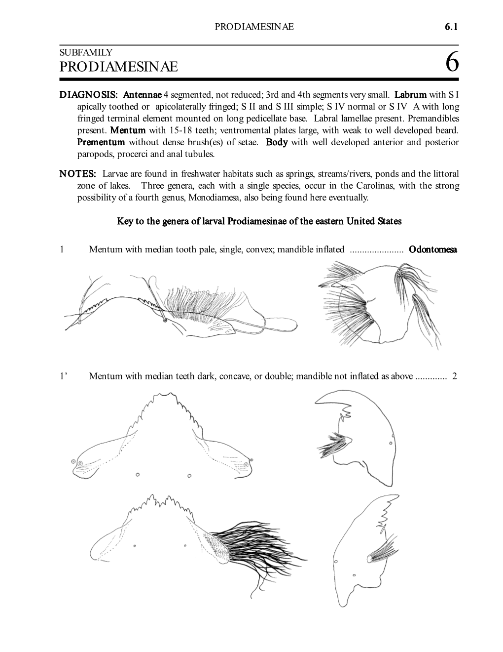 Prodiamesinae 6.1