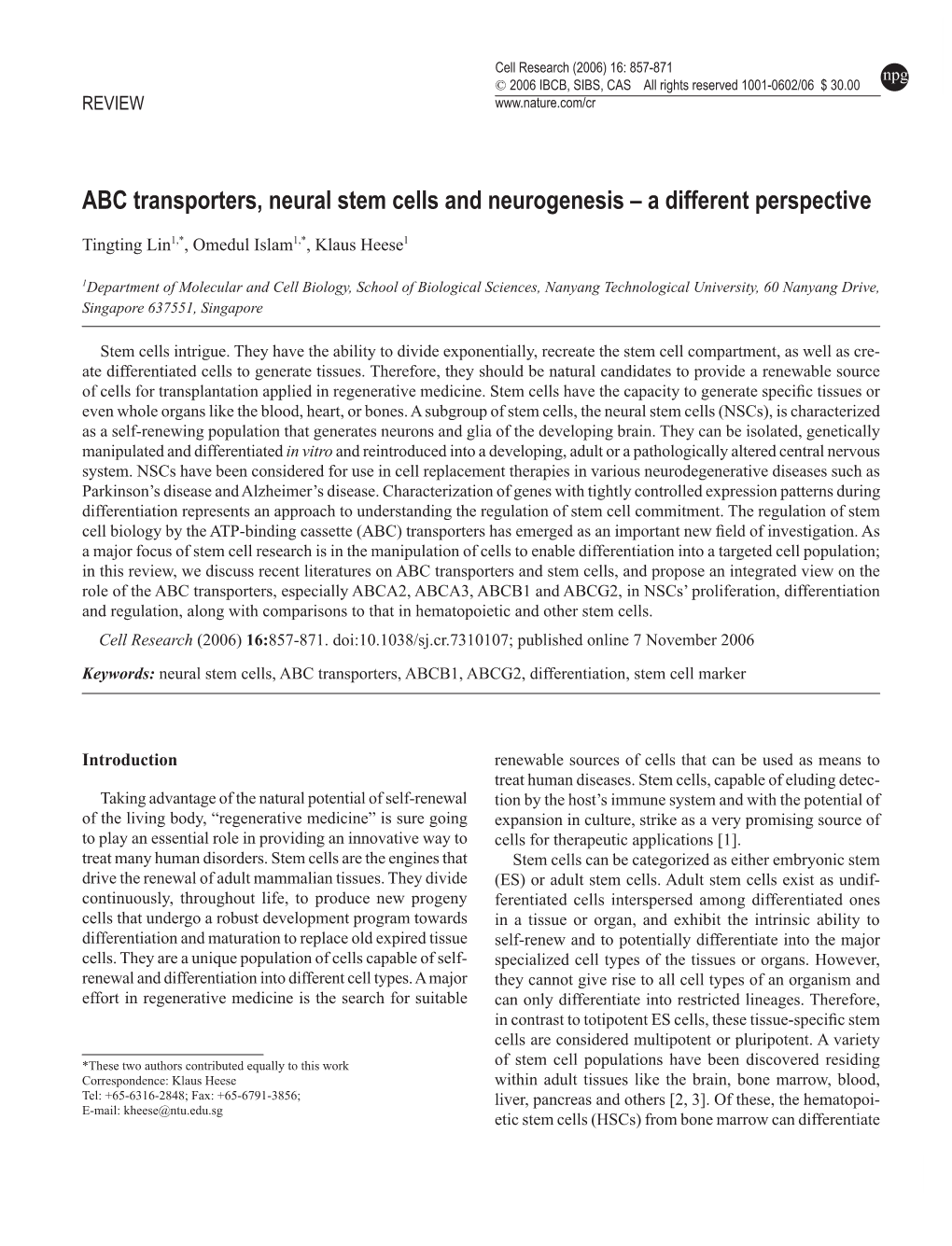 ABC Transporters, Neural Stem Cells and Neurogenesis – a Different Perspective