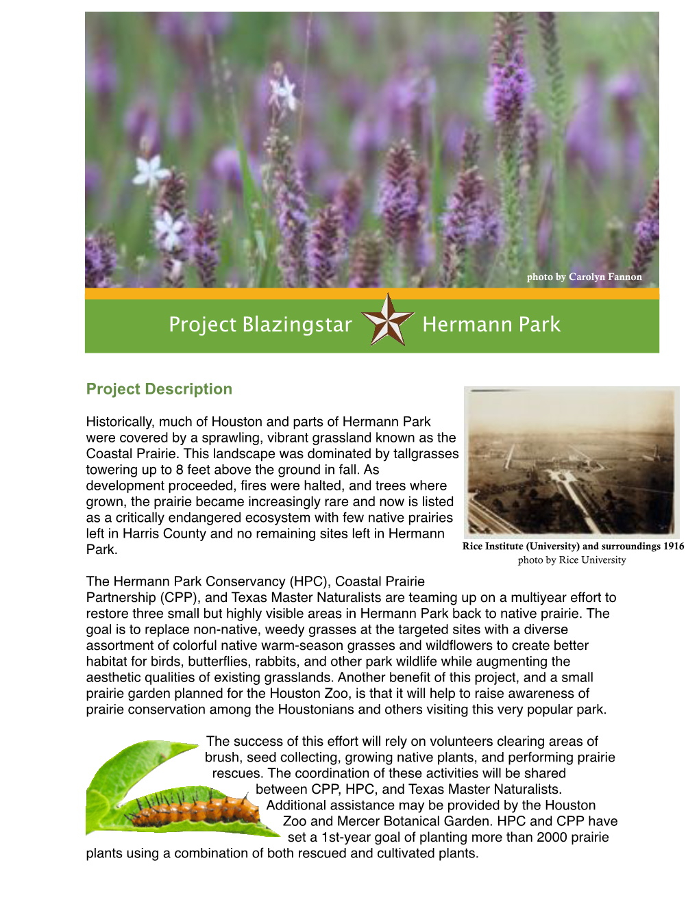 Project Blazingstar Hermann Park