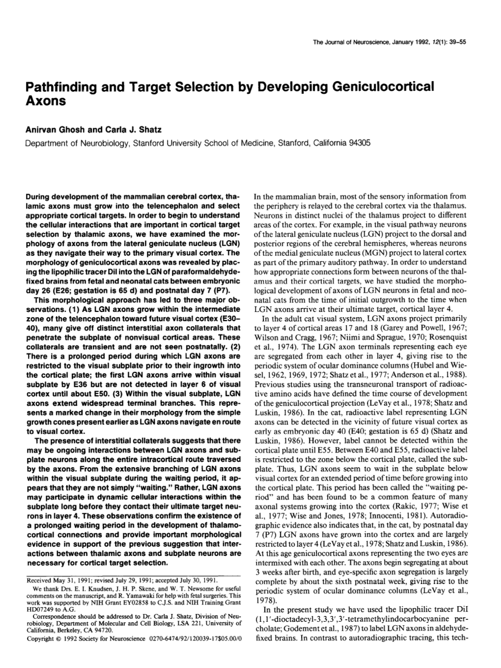 Pathfinding and Target Selection by Developing Geniculocortical Axons