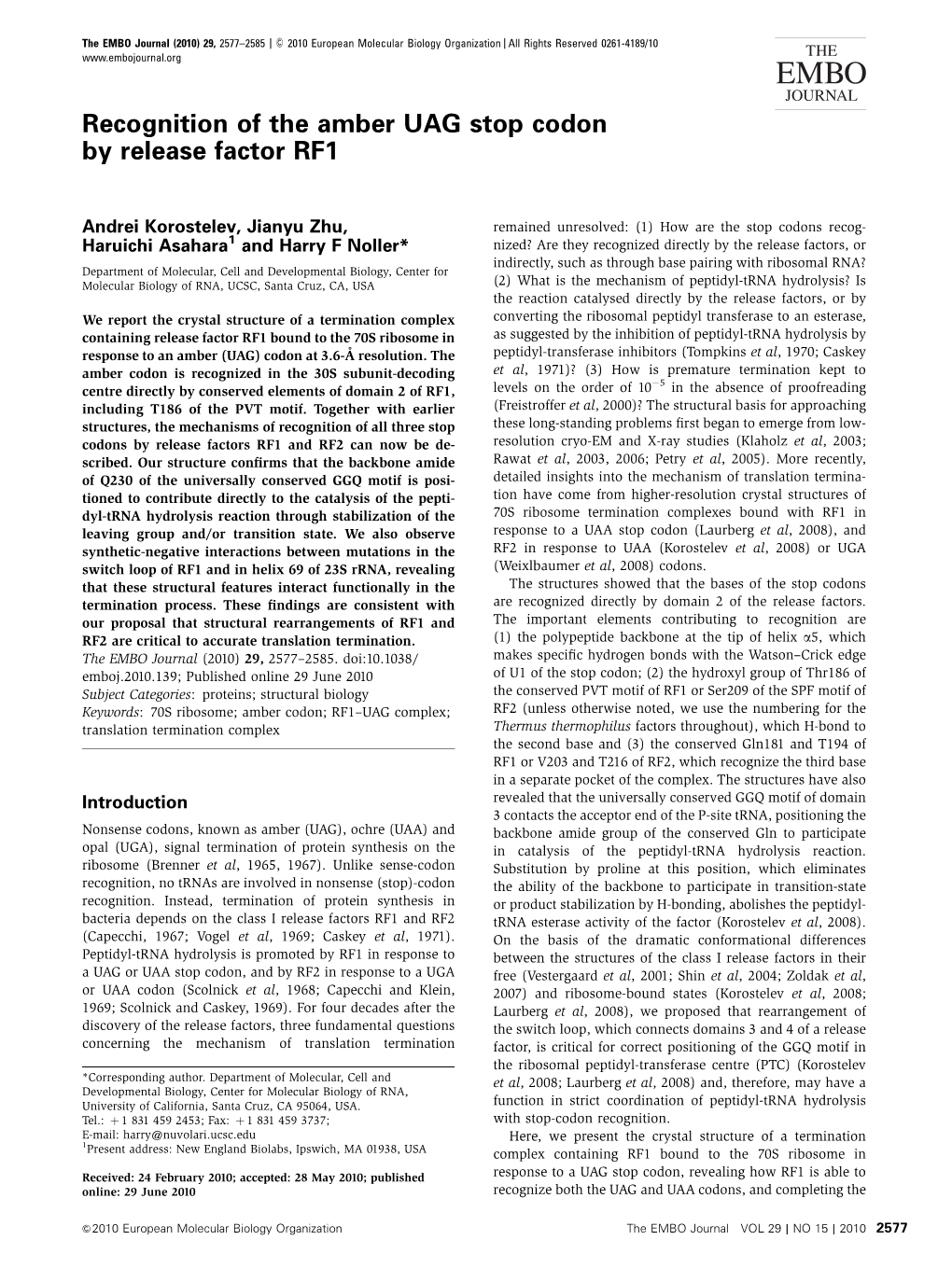 Recognition of the Amber UAG Stop Codon by Release Factor RF1