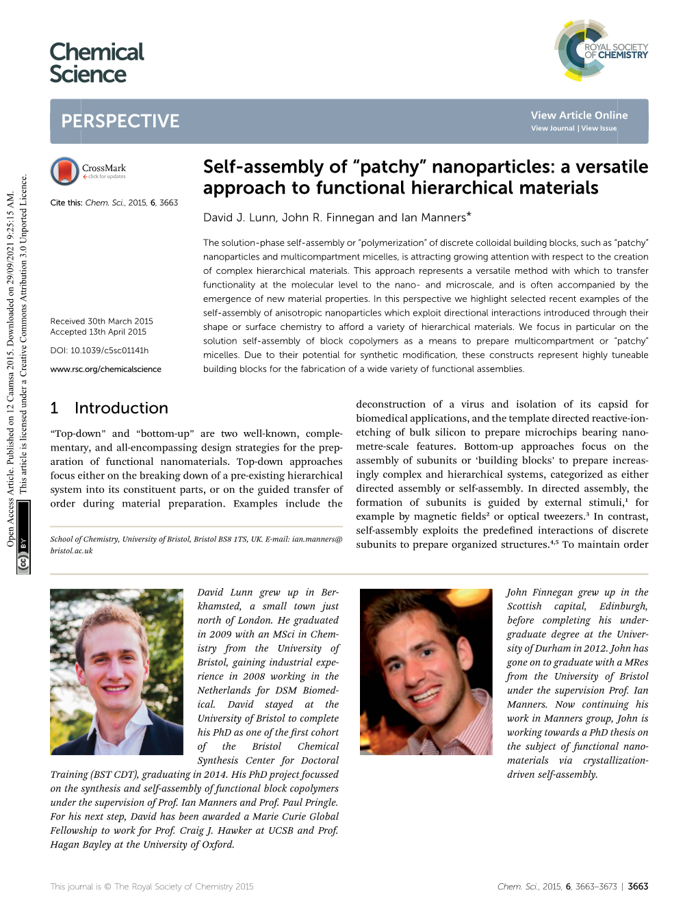 Self-Assembly of “Patchy” Nanoparticles: a Versatile Approach to Functional Hierarchical Materials Cite This: Chem