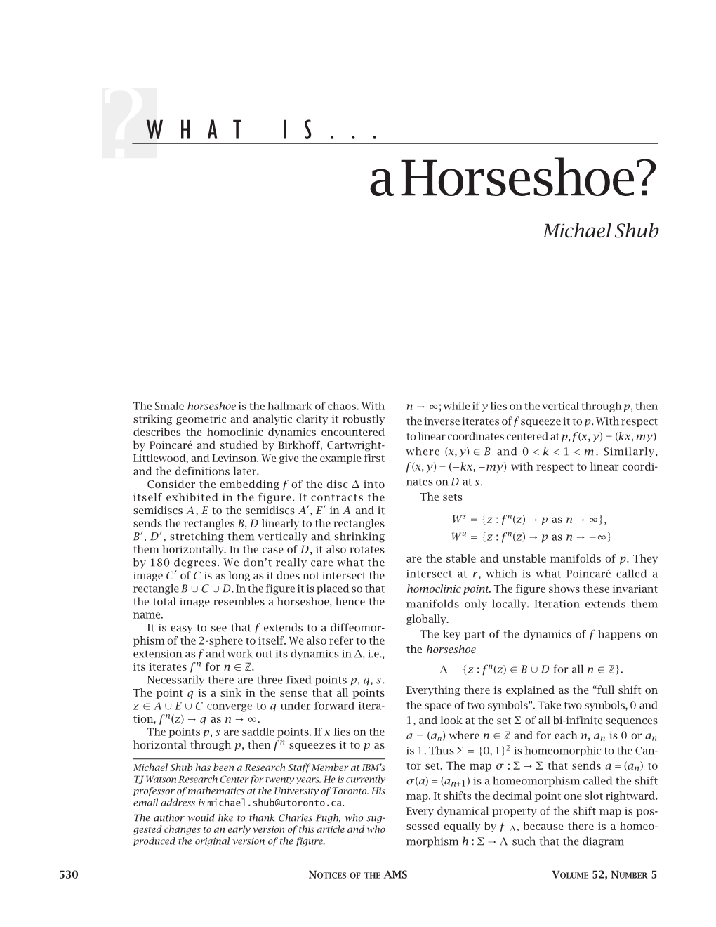 A Horseshoe? Michael Shub