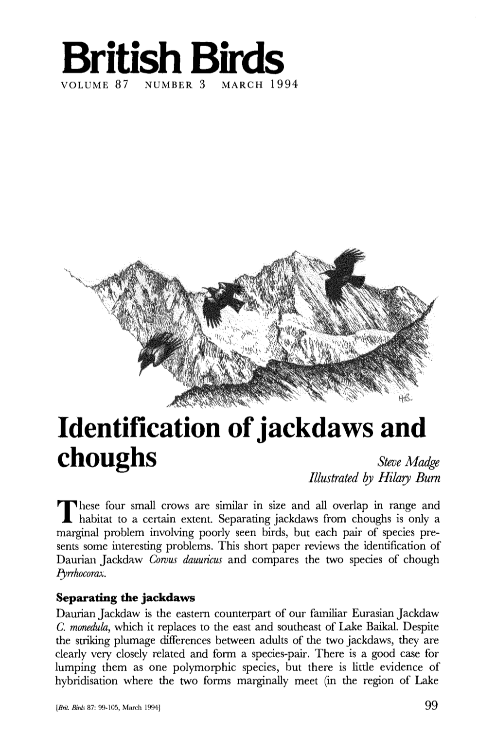 Identification of Jackdaws and Choughs Steve Madge Illustrated by Hilary Burn