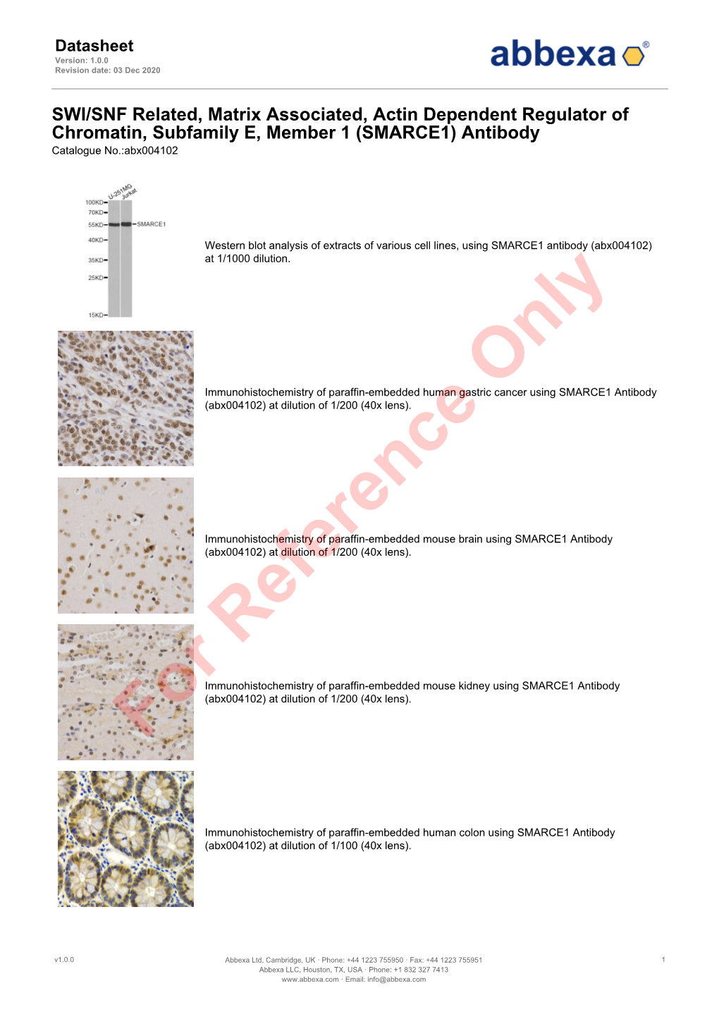 (SMARCE1) Antibody Catalogue No.:Abx004102
