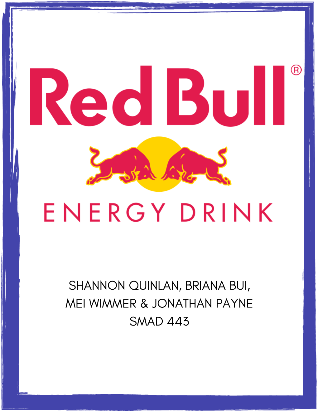 Red Bull Campaign Study Booklet