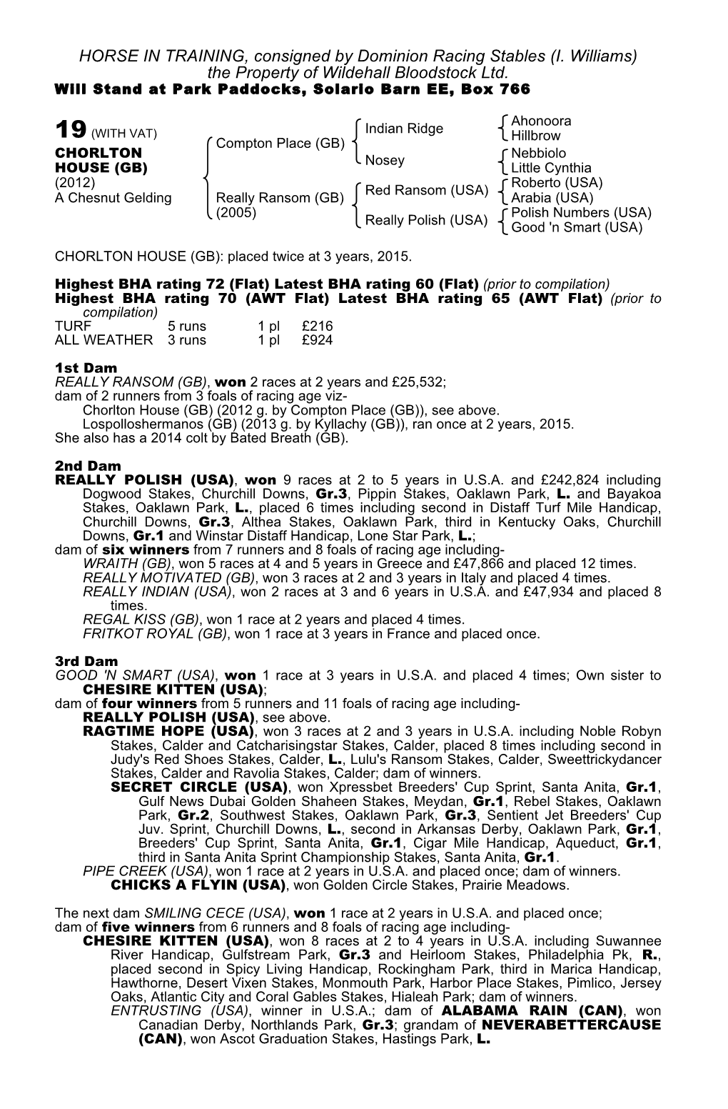 HORSE in TRAINING, Consigned by Dominion Racing Stables (I