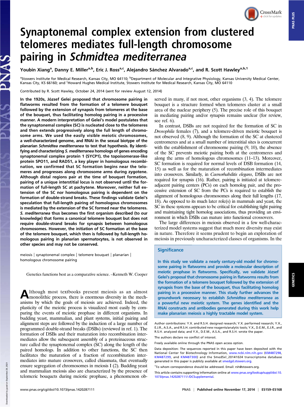 Synaptonemal Complex Extension from Clustered Telomeres Mediates