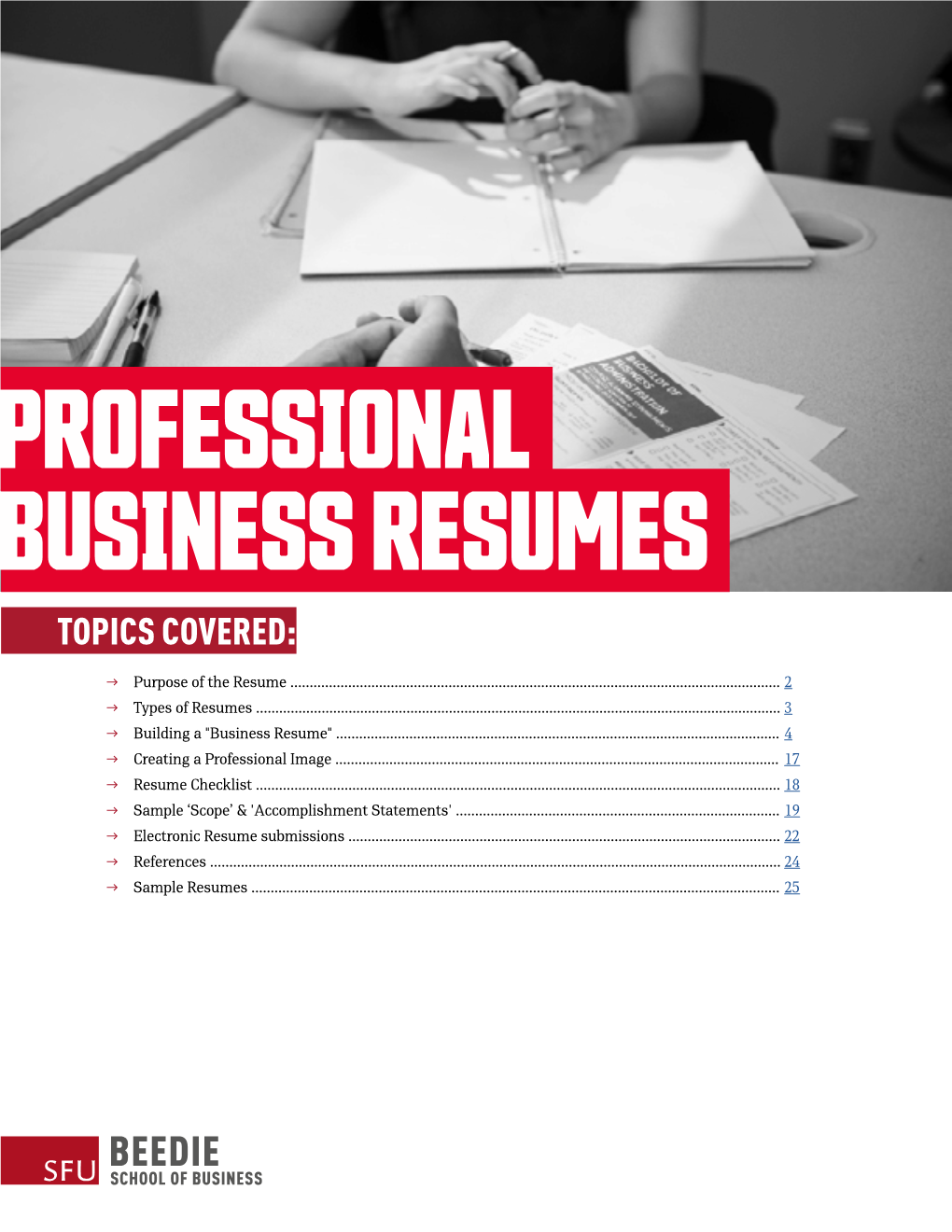 Professional Business Resumes Topics Covered