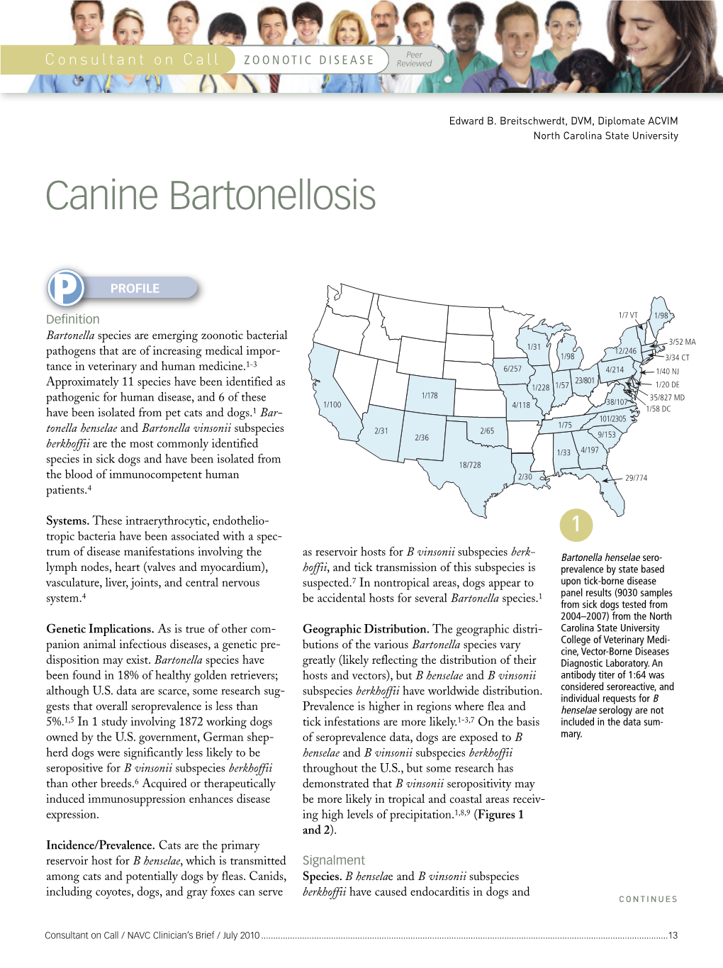Canine Bartonellosis