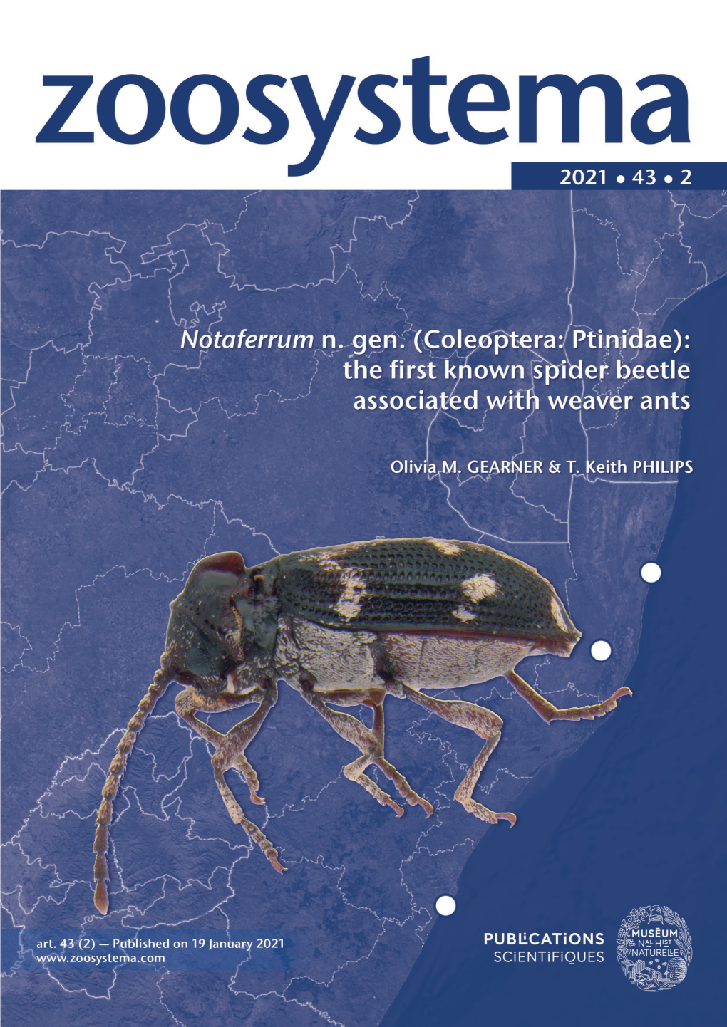 Coleoptera: Ptinidae): the First Known Spider Beetle Associated with Weaver Ants