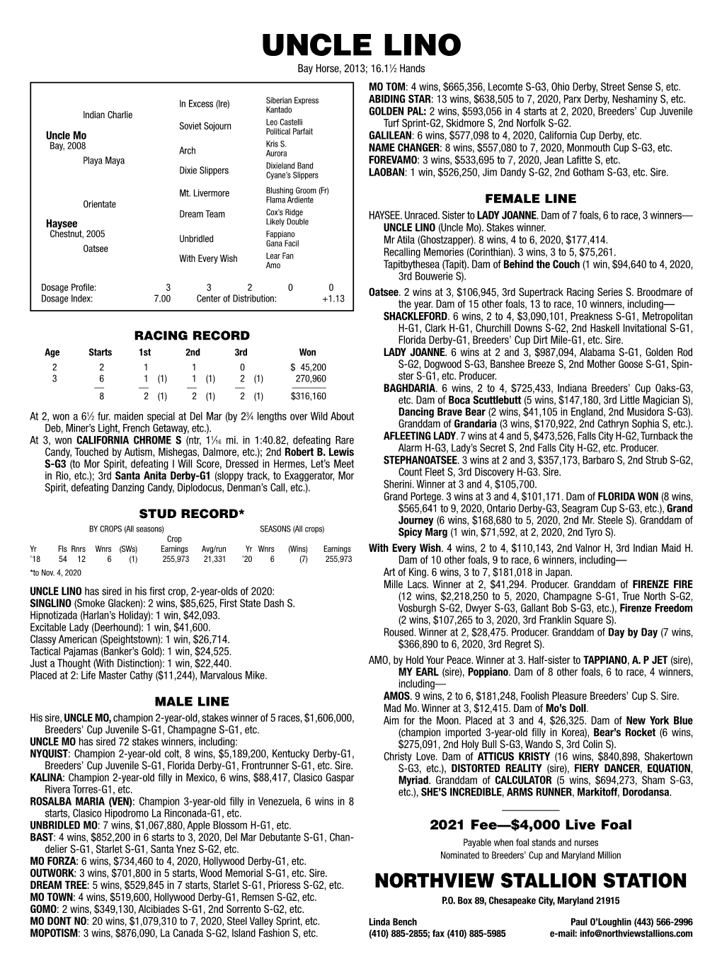 UNCLE LINO 1 Bay Horse, 2013; 16.1 ⁄2 Hands MO TOM: 4 Wins, $665,356, Lecomte S-G3, Ohio Derby, Street Sense S, Etc