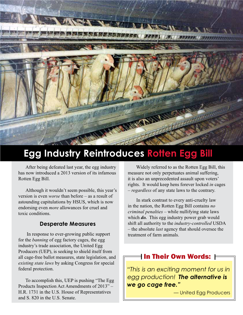 Egg Industry Reintroduces Rotten Egg Bill