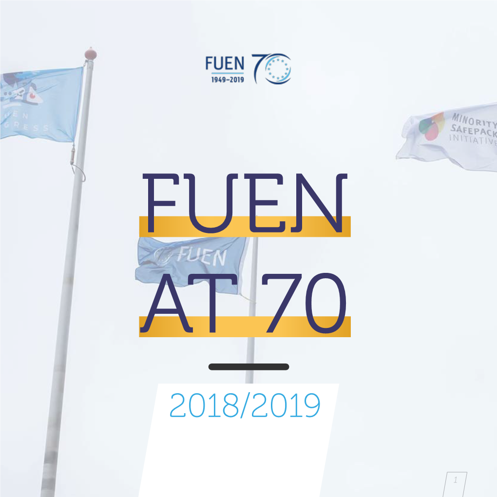 FUEN Activity Report 2018/2019