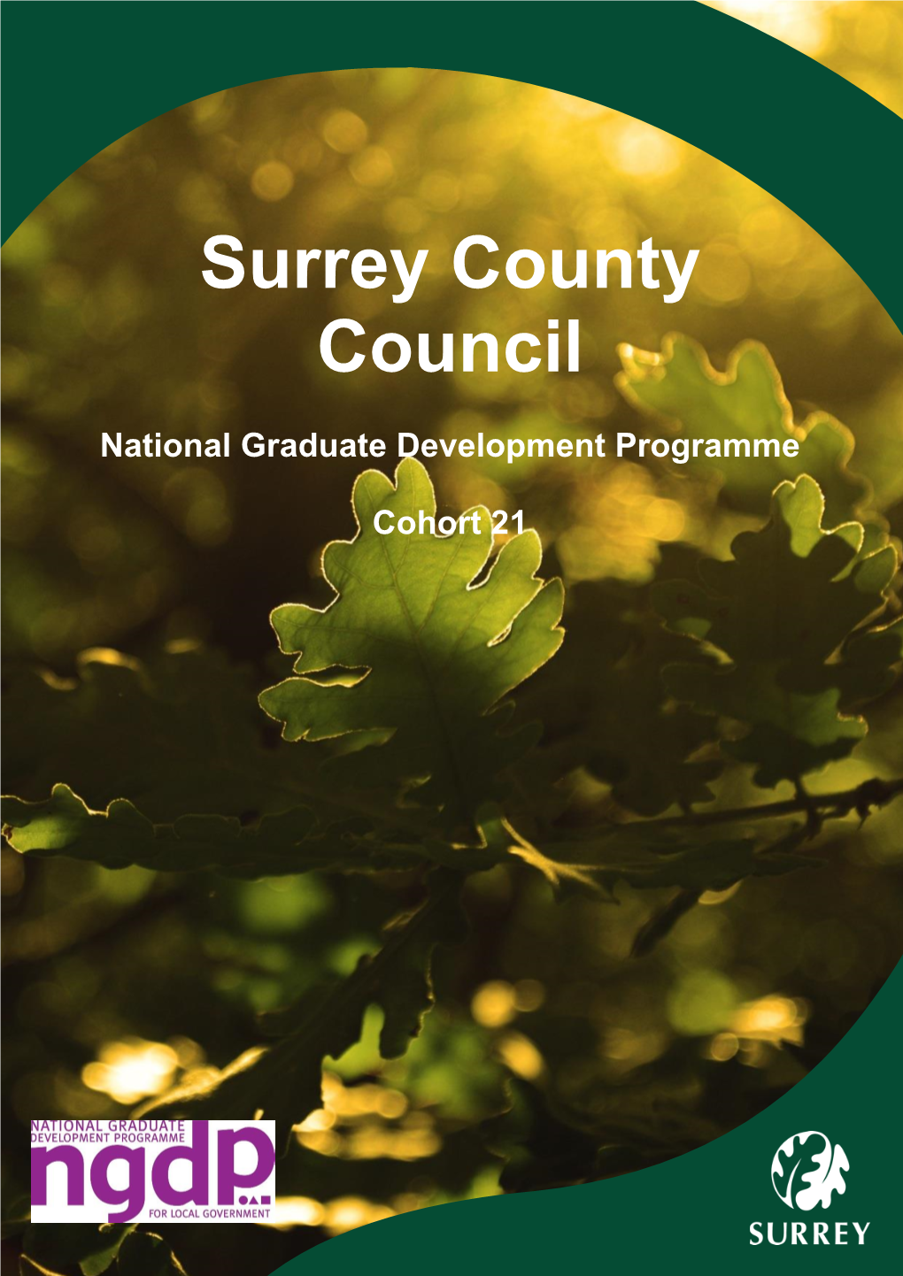 Surrey County Council