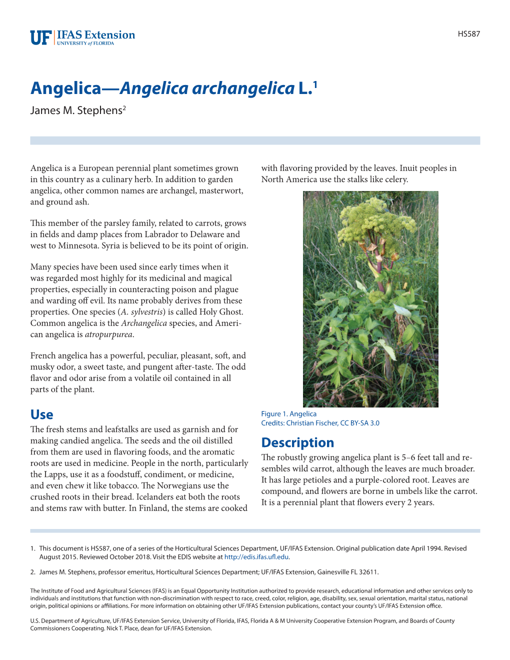 Angelica—Angelica Archangelica L.1 James M