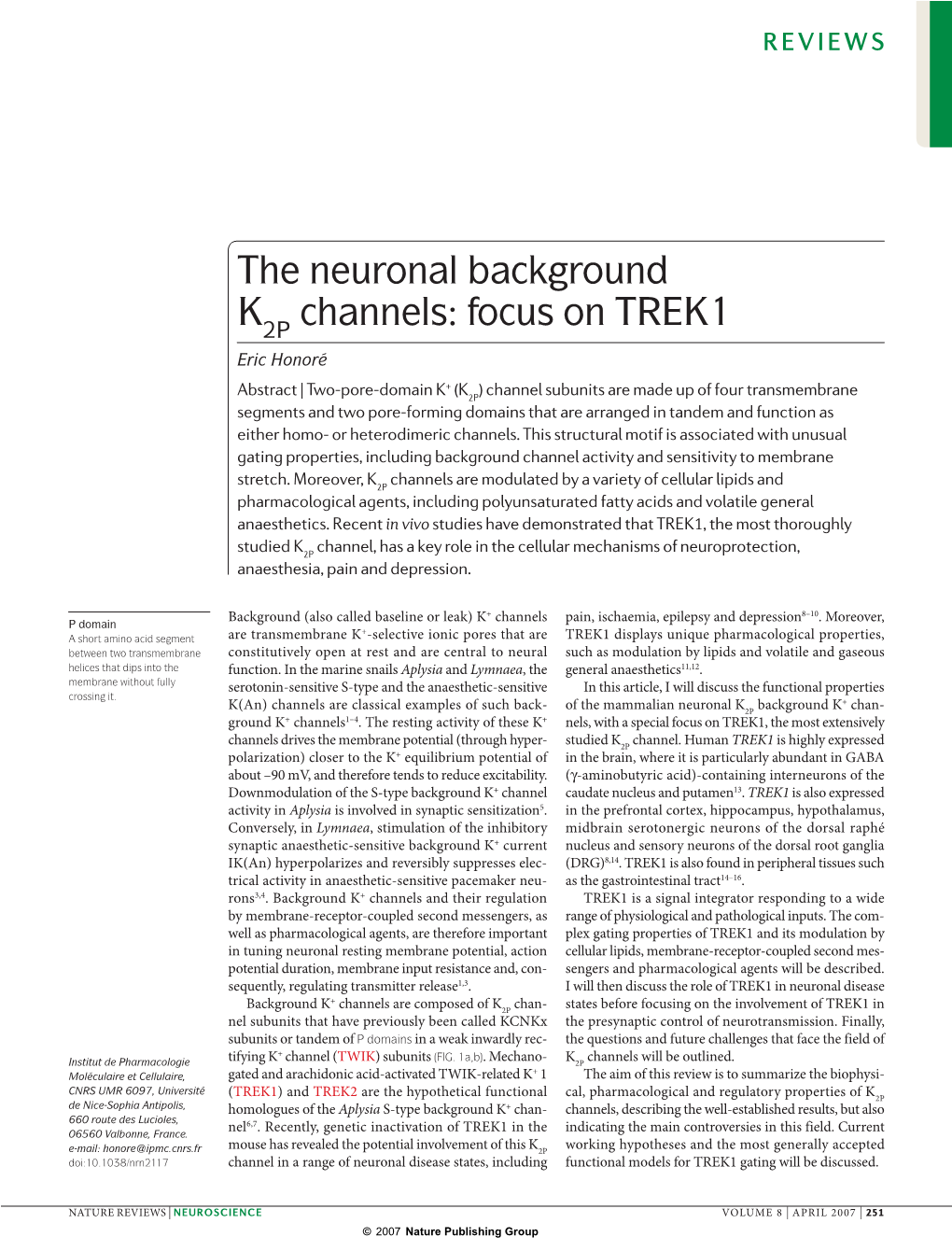 The Neuronal Background K Channels: Focus on TREK1