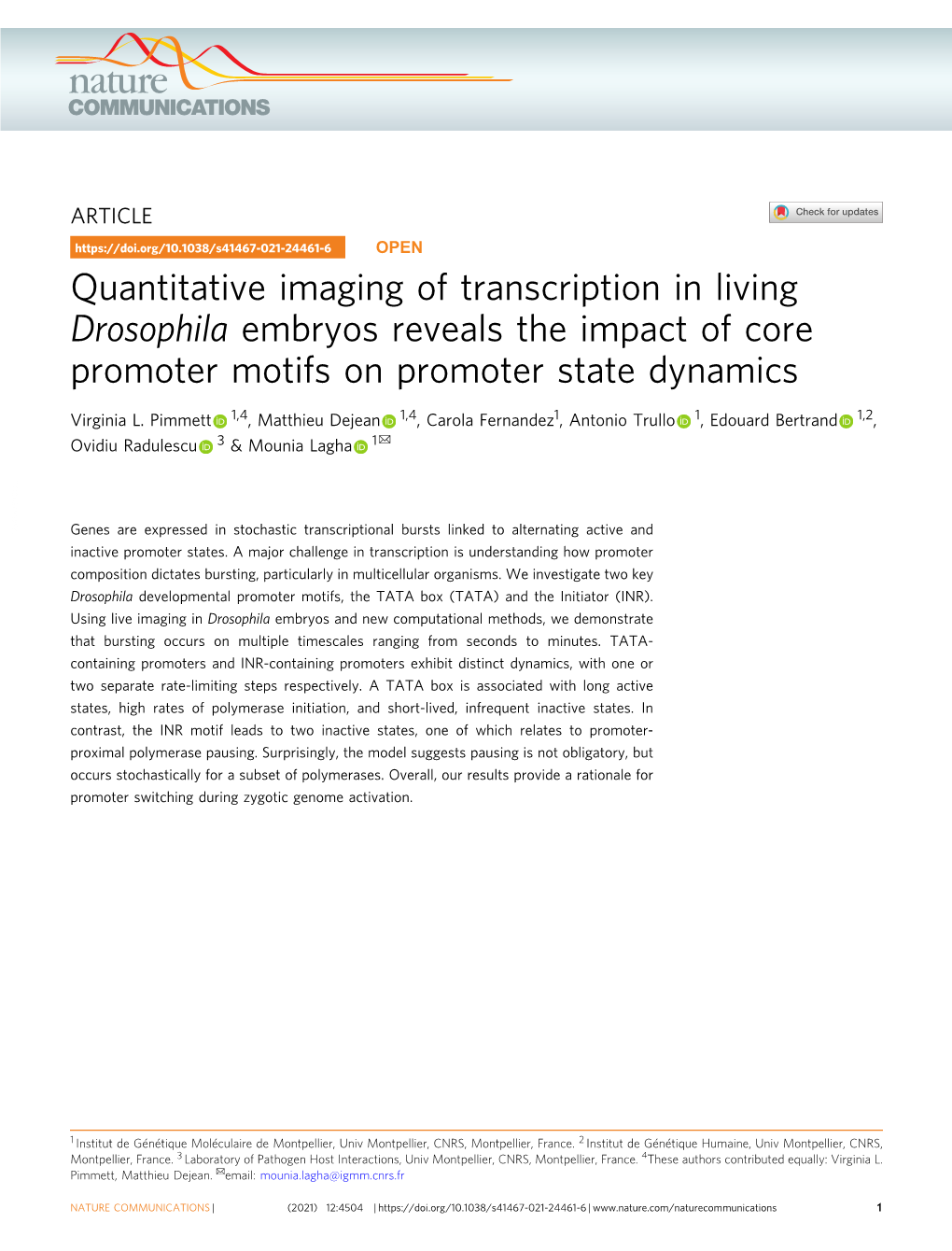 Quantitative Imaging of Transcription in Living Drosophila Embryos Reveals the Impact of Core Promoter Motifs on Promoter State Dynamics