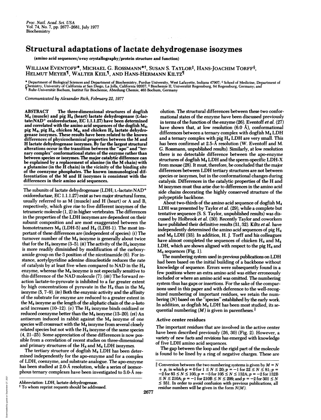 Structural Adaptations of Lactate Dehydrogenase Isozymes (Amino Acid Sequences/X-Ray Crystallography/Protein Structure and Function) WILLIAM EVENTOFF*, MICHAEL G